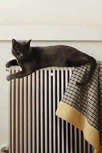 GINGHAM PET BLANKET