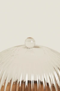 BOROSILICATE WOODEN CAKE DISH