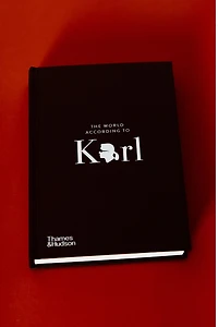 THE WORLD ACCORDING TO KARL BOOK
