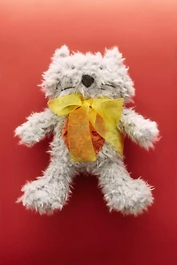 KIDS' CAT PLUSH TOY X THE ANIMALS OBSERVATORY