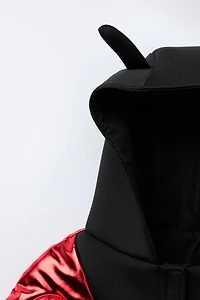 LADYBUG COSTUME