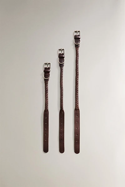 BRAIDED LEATHER DOG COLLAR