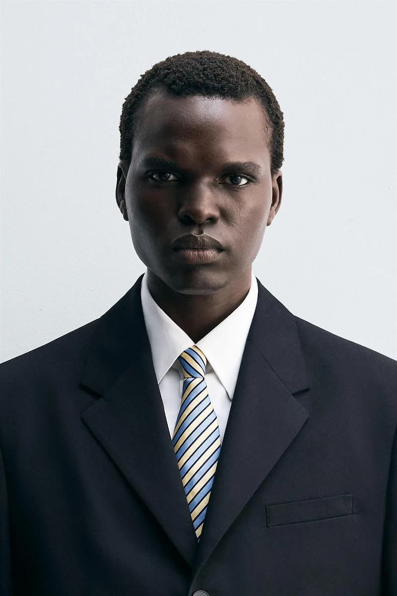 100% SILK STRIPED TIE