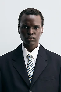 100% SILK STRIPED TIE