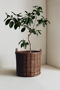 ROUND RATTAN BASKET