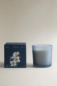 (350 G) AQUA BERGAMOTA SCENTED CANDLE