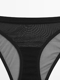 Semi-sheer mesh briefs