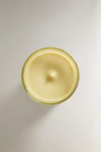 (155 G) VETIVER MELON SCENTED CANDLE