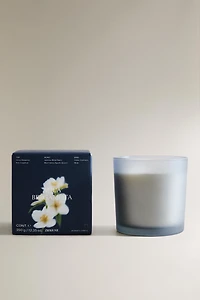 (350 G) BOUGIE PARFUMÉE AQUA BERGAMOTE