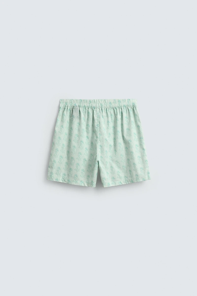 PETER PAN CUB BOXER SHORTS HARRY LAMBERT FOR ZARA X DISNEY