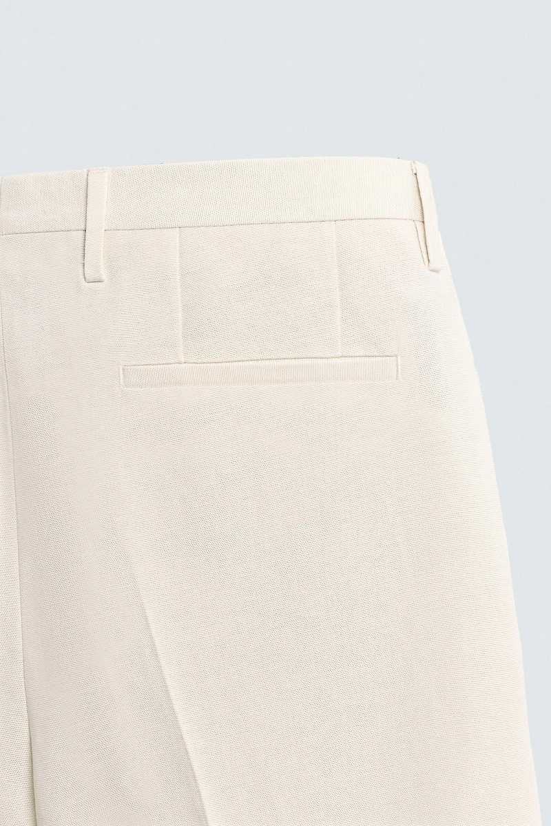REGULAR FIT PLEATED PANTS