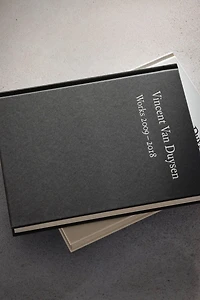 VINCENT VAN DUYSEN WORKS 2009-2018