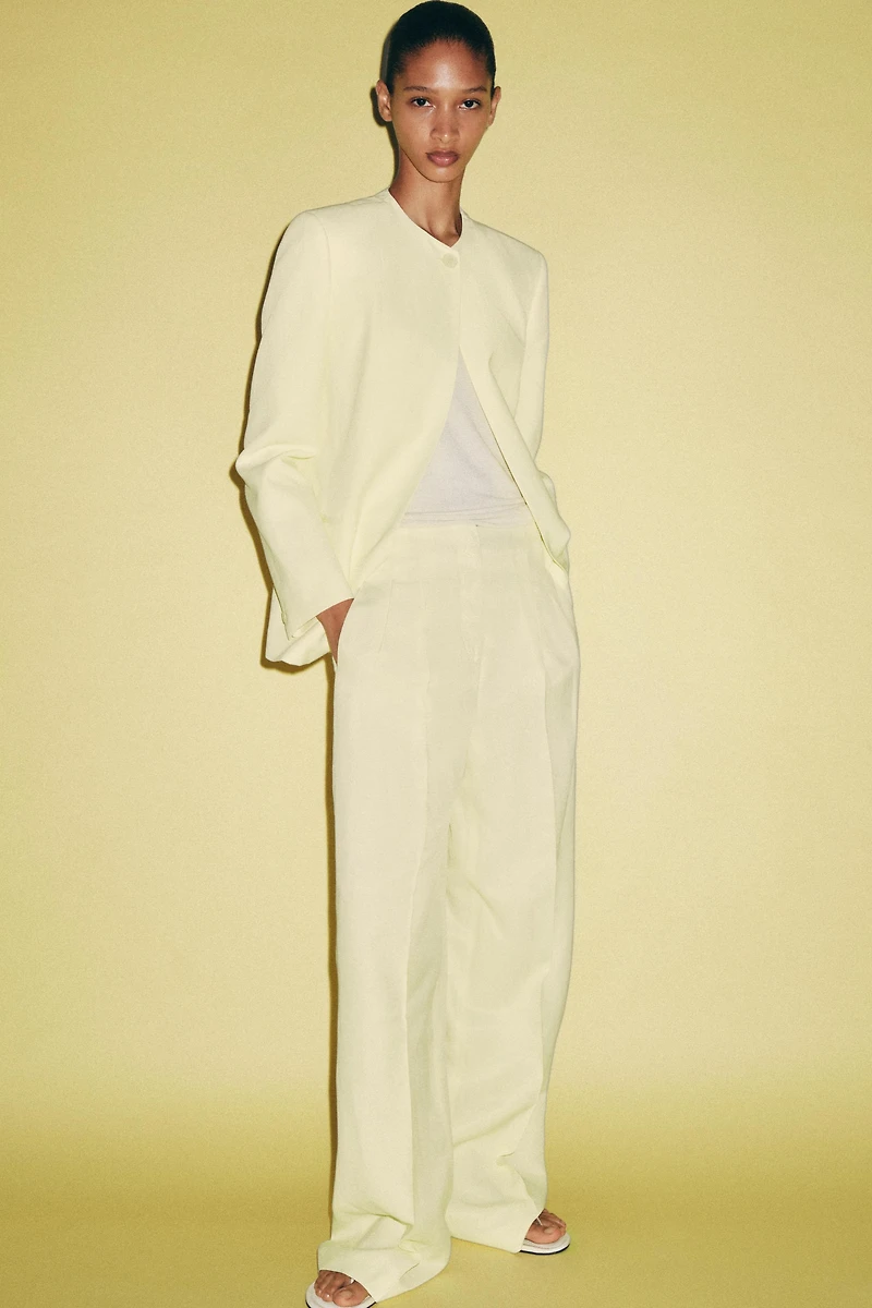 ZW COLLECTION PLEATED PANTS