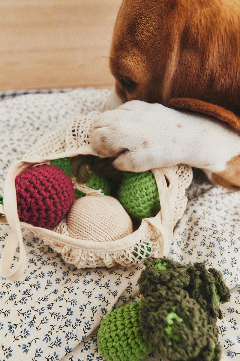 VEGETABLE PET TOY PACK