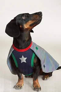 SPACE-INSPIRED REFLECTIVE PET COSTUME