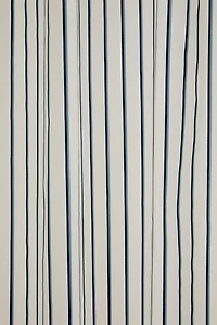 STRIPED SHOWER CURTAIN