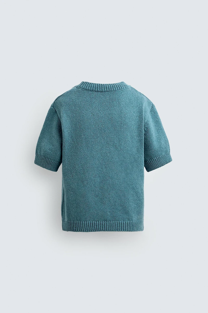 FIGARO JACQUARD KNIT T-SHIRT HARRY LAMBERT FOR ZARA X DISNEY