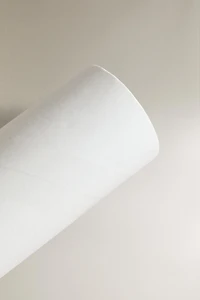 ADHESIVE LINT ROLLER REFILL (PACK OF 2)