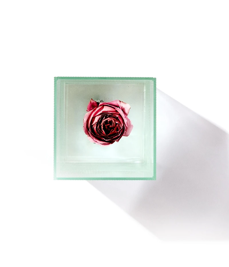 NICK KNIGHT	VASE À FLEURS