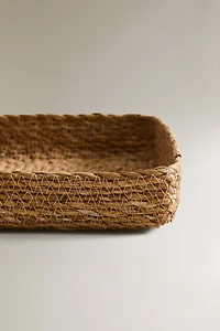 PANIER PLATEAU ALGUES