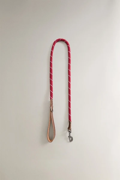 ROPE AND LEATHER PET LEAD