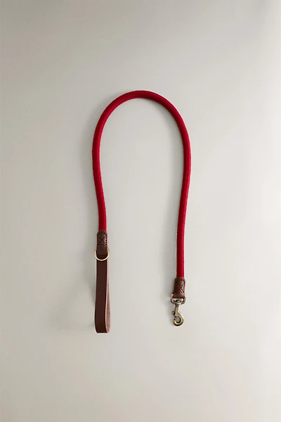 LEATHER ROPE DOG LEAD