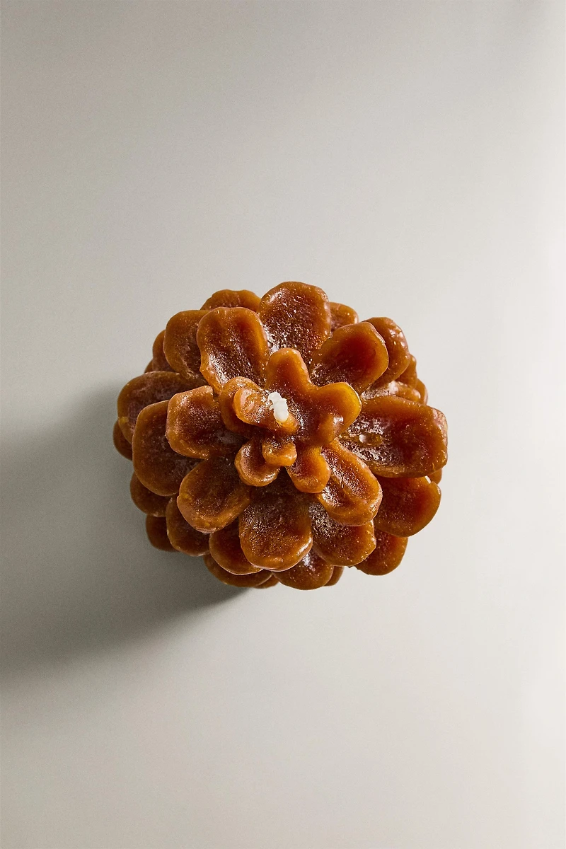 PINE CONE PUMPKIN SPICE SCENTED CANDLE