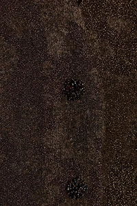 METALLIC THREAD CARDIGAN