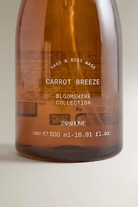 (500 ML) CARROT BREEZE LIQUID SOAP