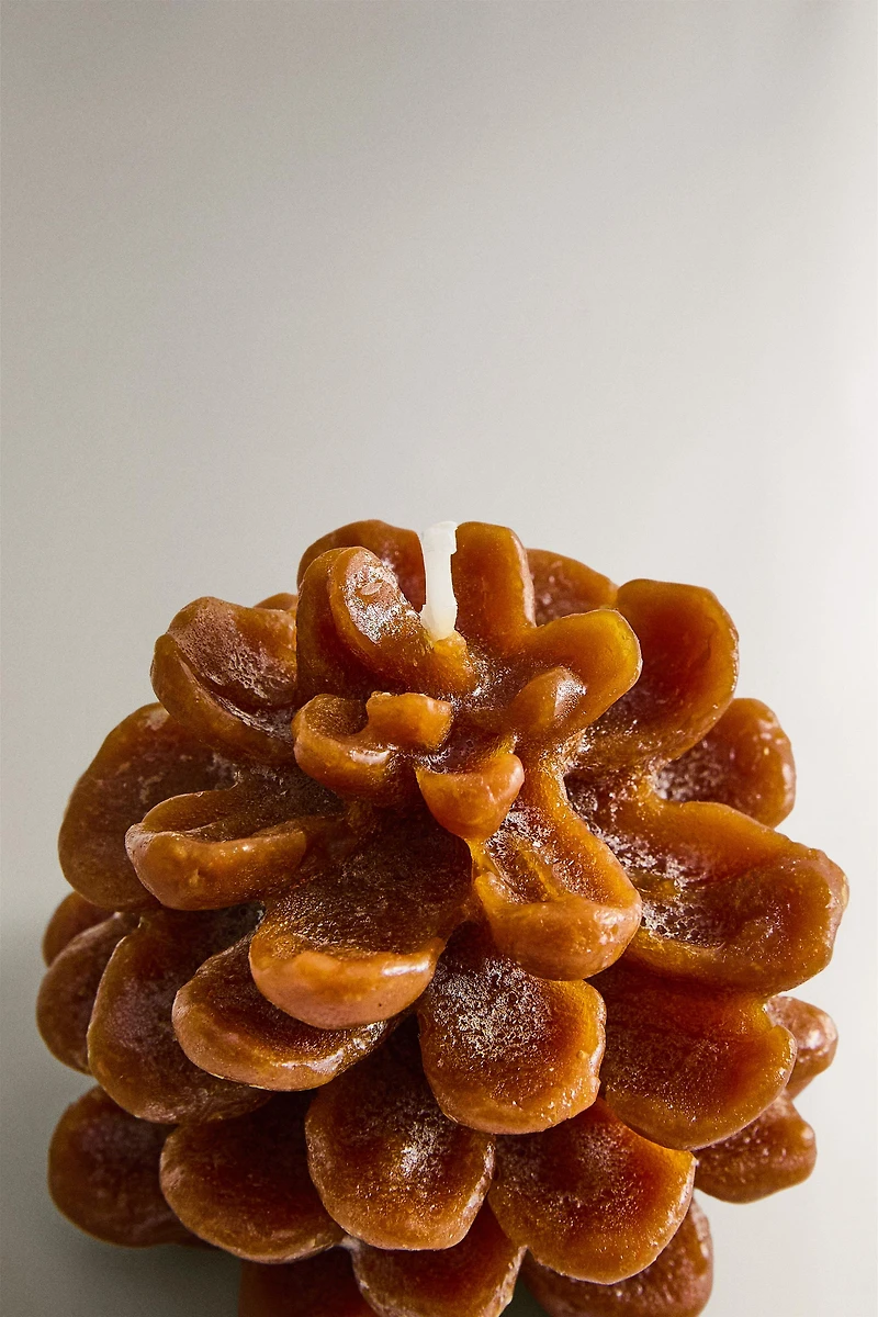 PINE CONE PUMPKIN SPICE SCENTED CANDLE