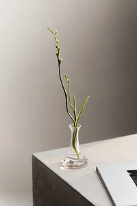 LONG NECK GLASS VASE