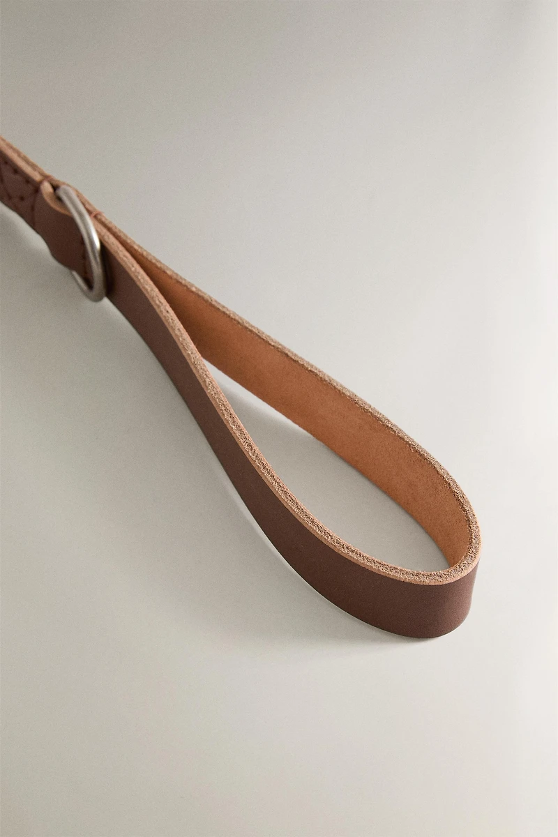ROPE AND LEATHER PET LEAD