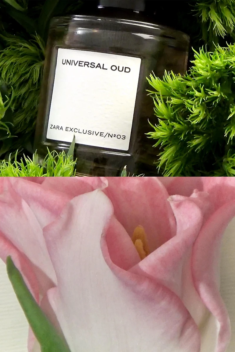 UNIVERSAL OUD EDP 100 ML