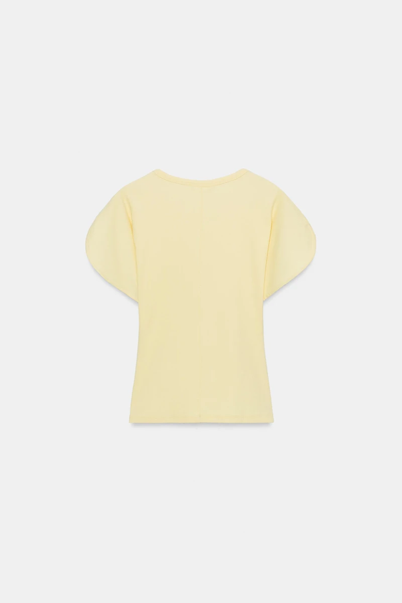 BALLOON SLEEVE TOP