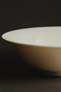 CERAMIC BATHROOM BOWL