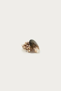 MARISA BERENSON X ZARA SHELL BEAD STRETCH BRACELET