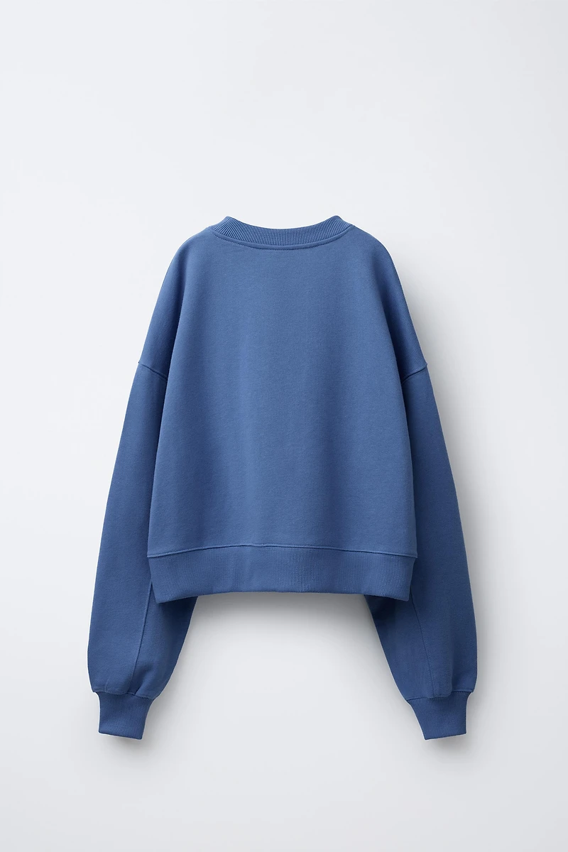 CHAMPION ® X ZARA EMBROIDERED SWEATSHIRT