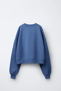 CHAMPION ® X ZARA EMBROIDERED SWEATSHIRT