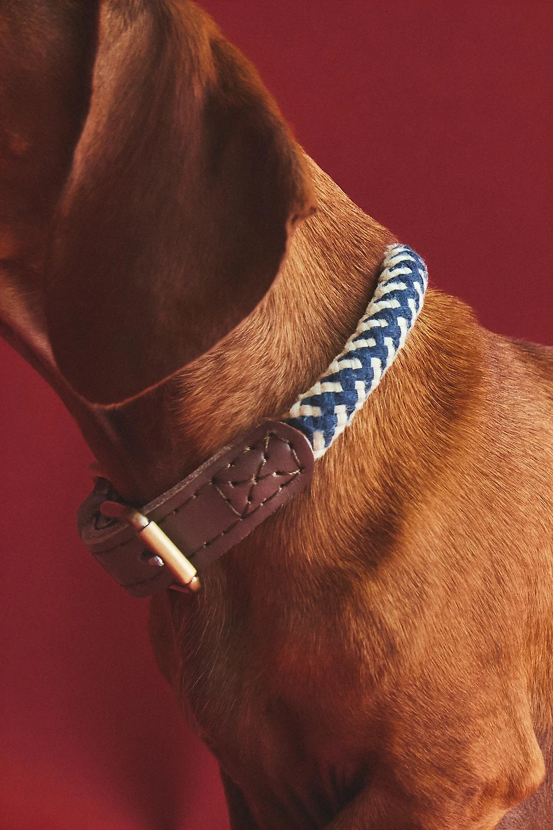 ROPE COLLAR FOR DOGS