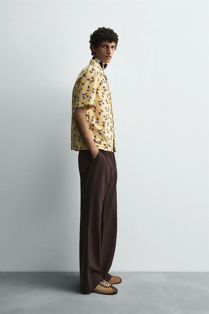 MORTY + FERDY SHIRT HARRY LAMBERT FOR ZARA X DISNEY