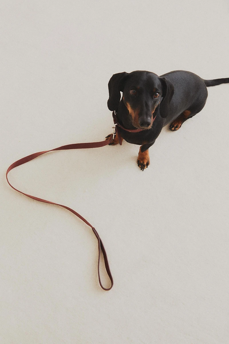 LEATHER PET LEAD WITH CLIP
