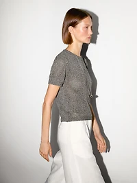 Metallic short sleeve knit sweater