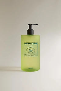 (500 ML) LIME & PEPPERMINT LIQUID SOAP