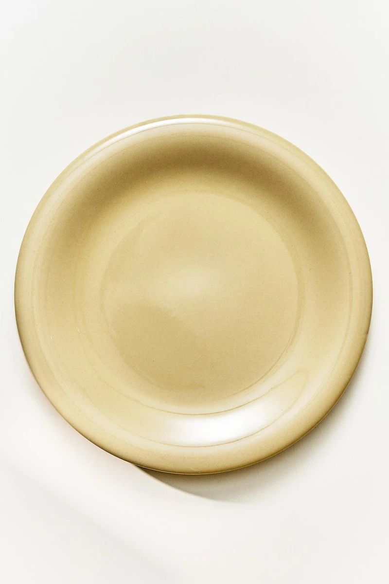 ENAMELLED STONEWARE DINNER PLATE