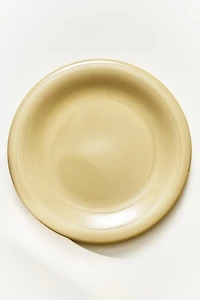 ENAMELLED STONEWARE DINNER PLATE
