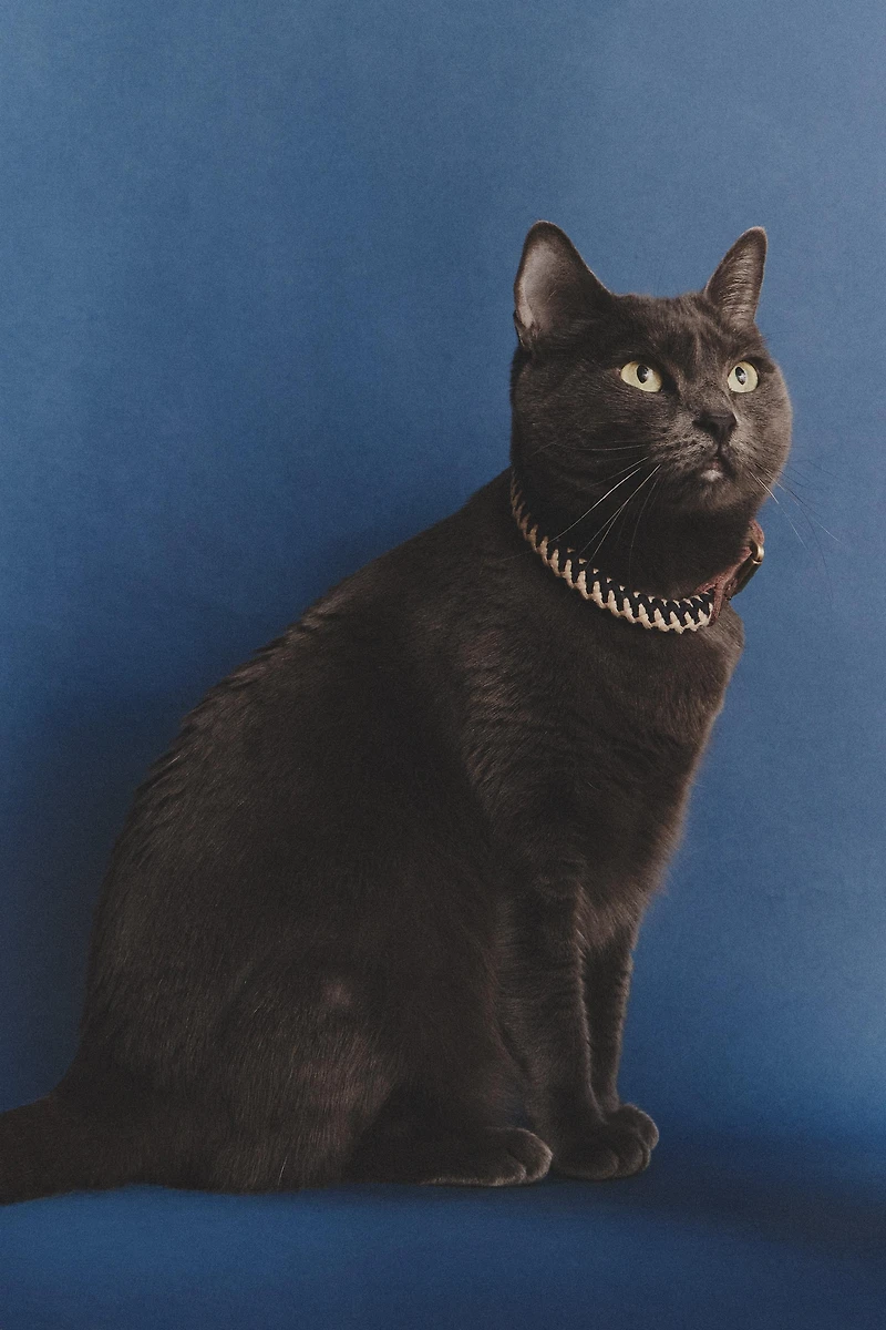 ROPE PET COLLAR