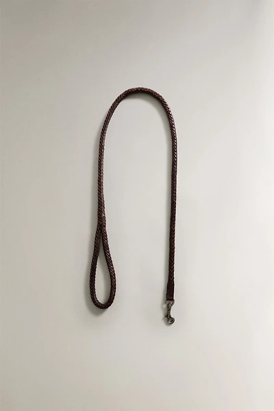 LAISSE CUIR TRESSE CHIENS