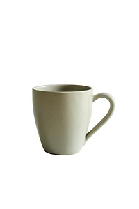 ENAMELED STONEWARE MUG