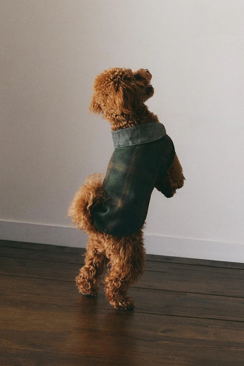 WOOL PET COAT