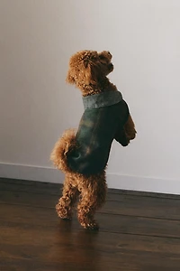 WOOL PET COAT
